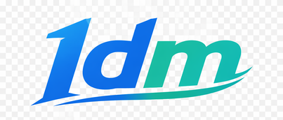 1dm